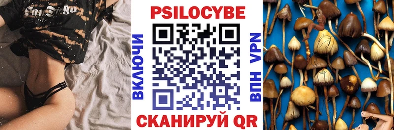блэк спрут tor  Ермолино  Псилоцибиновые грибы Cubensis 